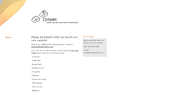 Desktop Screenshot of dimplesshop.com